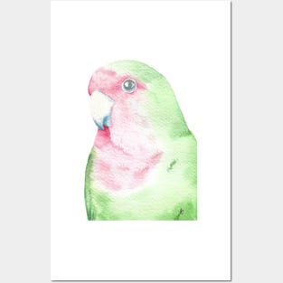 watercolor lovebird inséparable painting portrait pink green bird Posters and Art